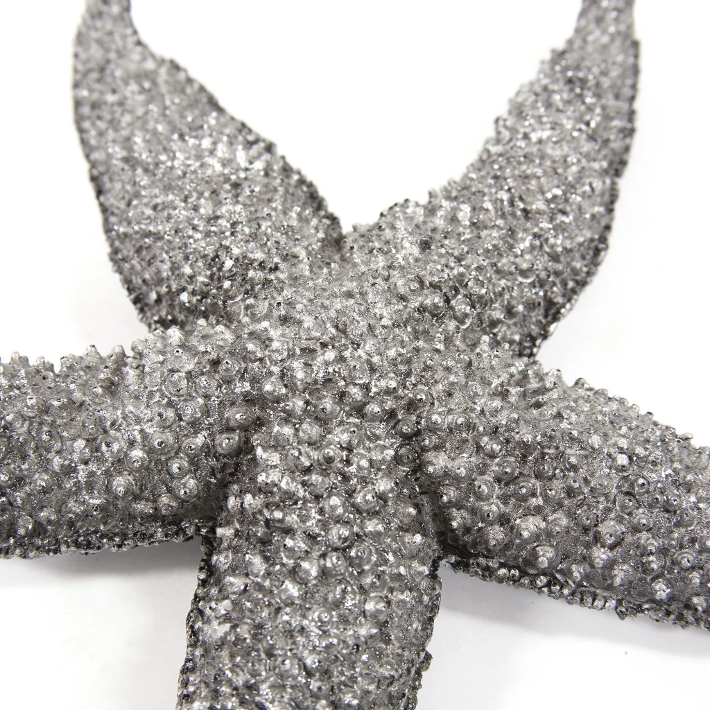 19" Silver Pewter Textured Starfish Wall Art By Homeroots - Image 5