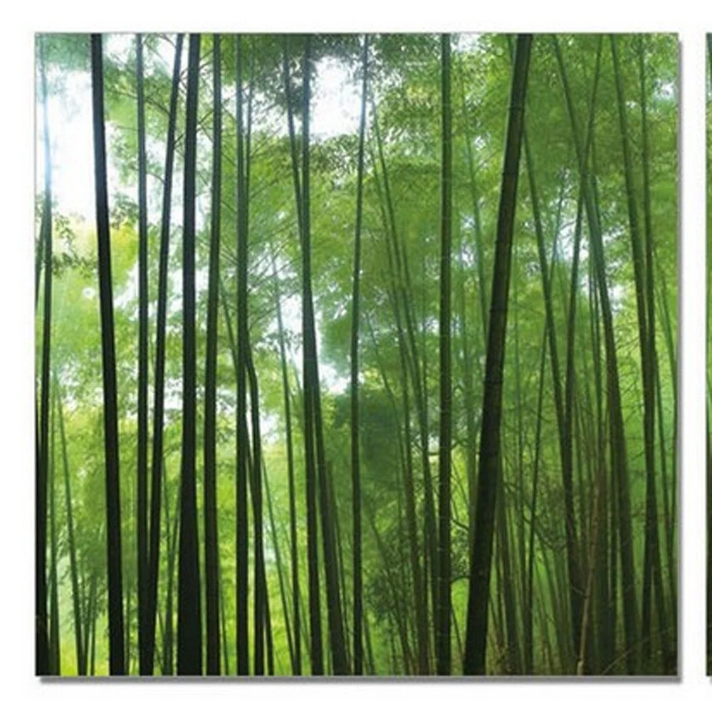 24" Canvas 3 Panels Forest Color Photo By Homeroots - Image 4