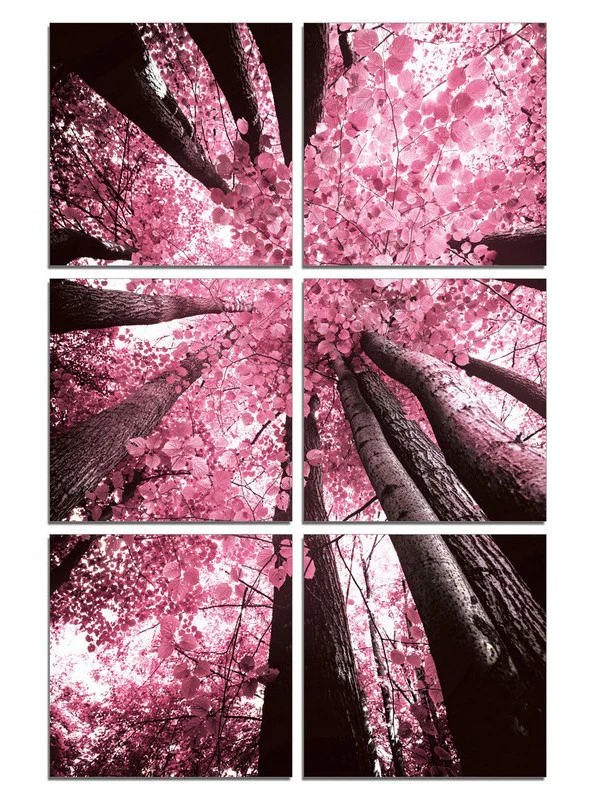 24" Canvas 6 Panels Blossom Trees Color Photo By Homeroots - Image 3