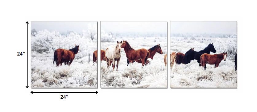 24" Multicolor Canvas 3 Horizontal Panels Horses Photo By Homeroots - Image 2