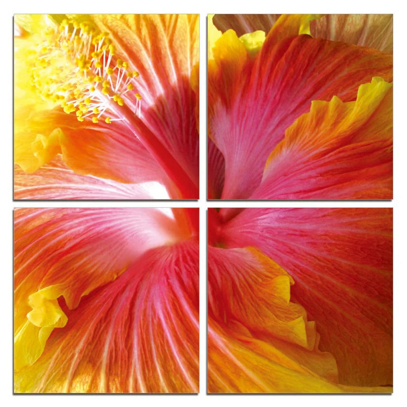 24" Multicolor Canvas 4 Panels Hibiscus Photo By Homeroots - Image 2