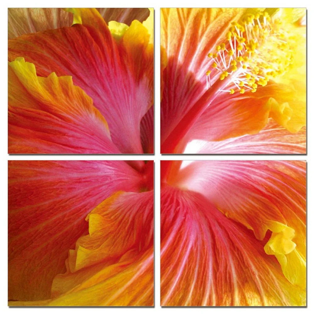 24" Multicolor Canvas 4 Panels Hibiscus Photo By Homeroots - Image 3