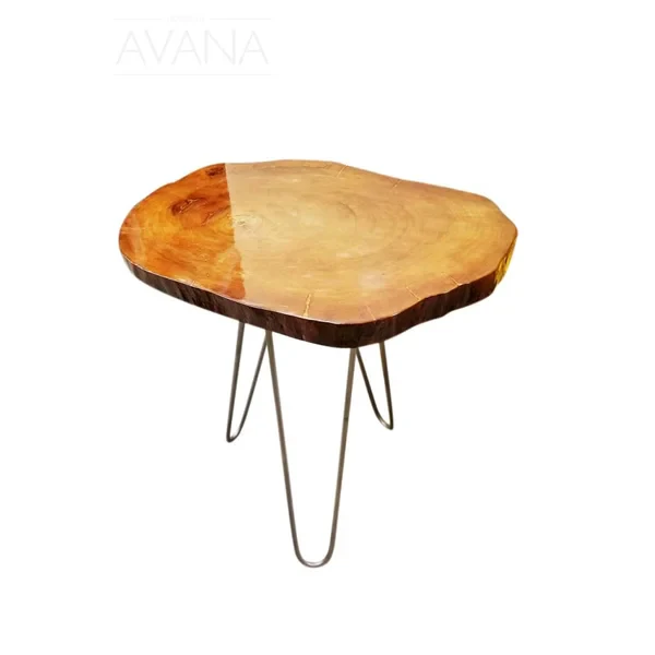 24" Natural Solid Wood Live Edge and Metal End Table By Homeroots - Image 3