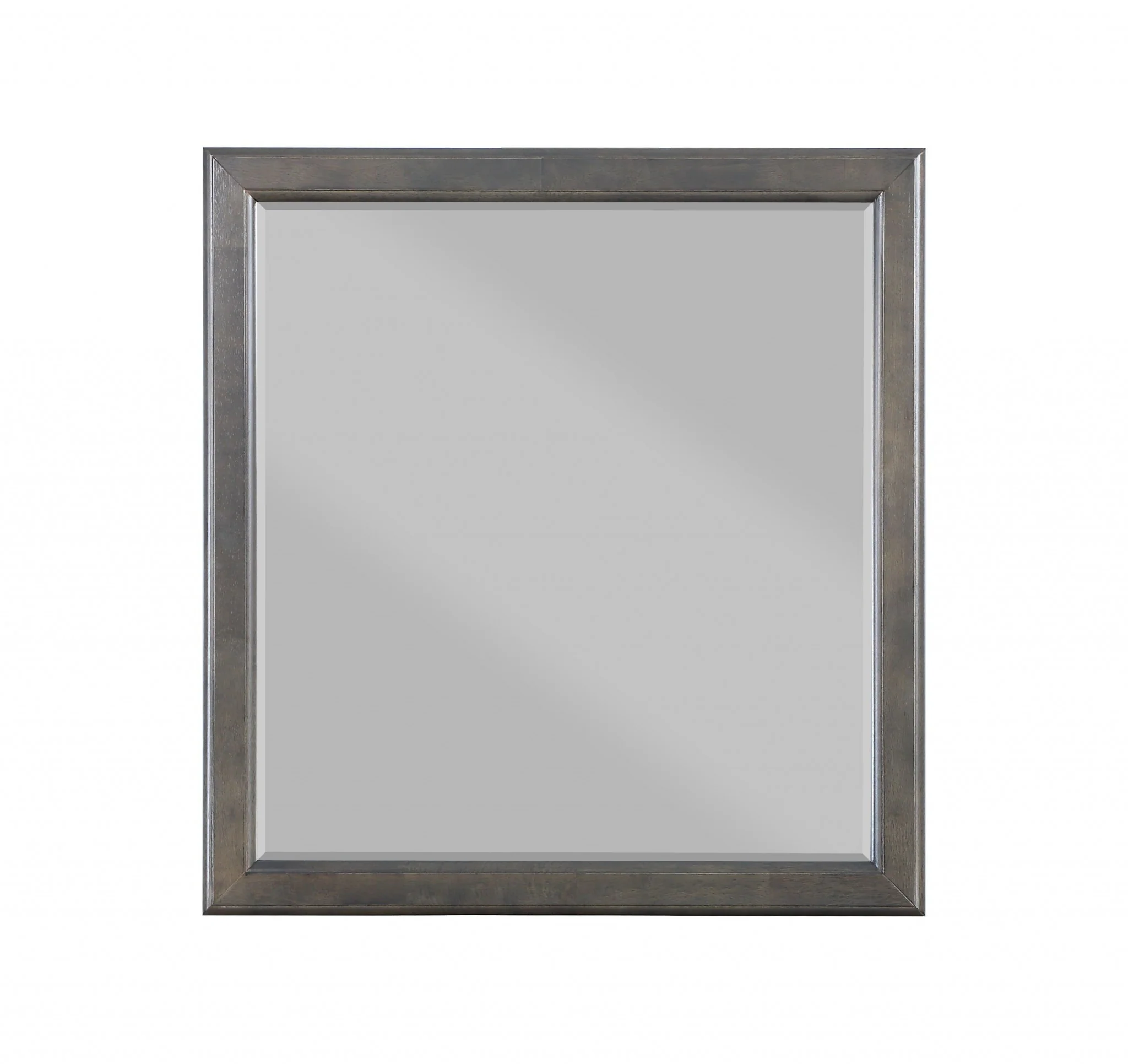 38" Rectangle Wall Mounted Accent Mirror By Homeroots - 347120 - Image 2