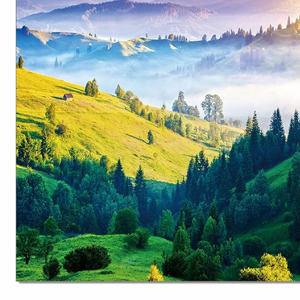 47" Canvas Color Glory Photo By Homeroots - Image 4