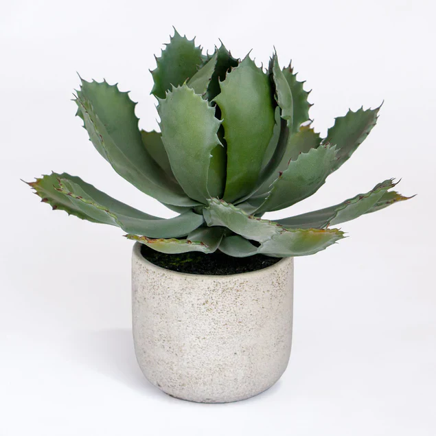Agave 11.25"OH Potted By Gold Leaf Design Group - Image 2