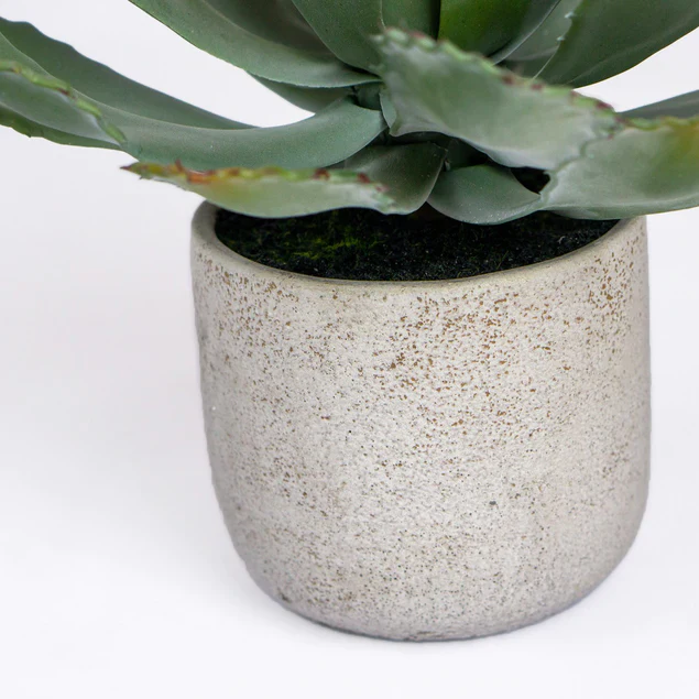 Agave 11.25"OH Potted By Gold Leaf Design Group - Image 4