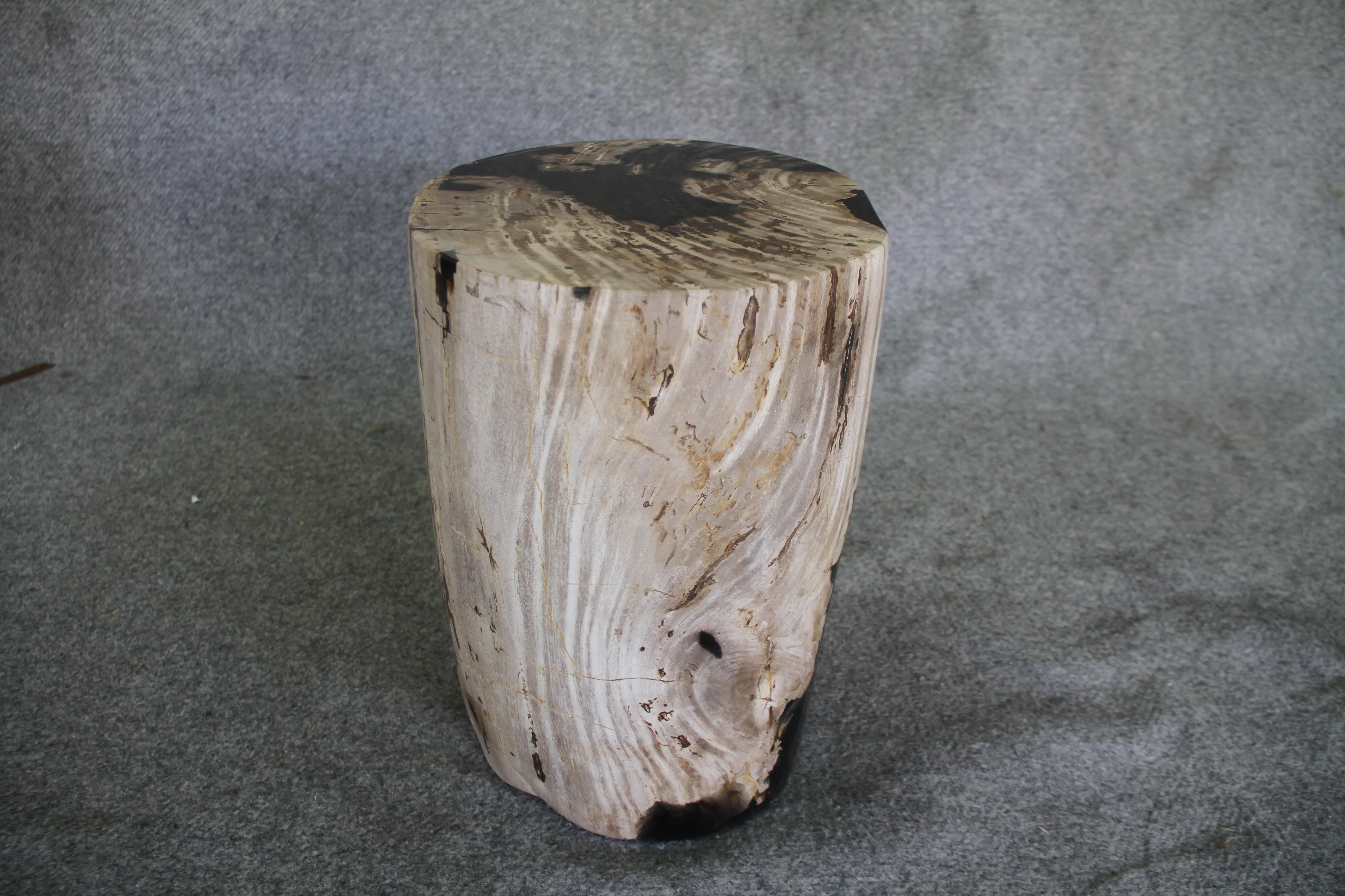 Petrified Wood Log Stool 11in x 13in x 16in (h) - 1985.21 - Image 3