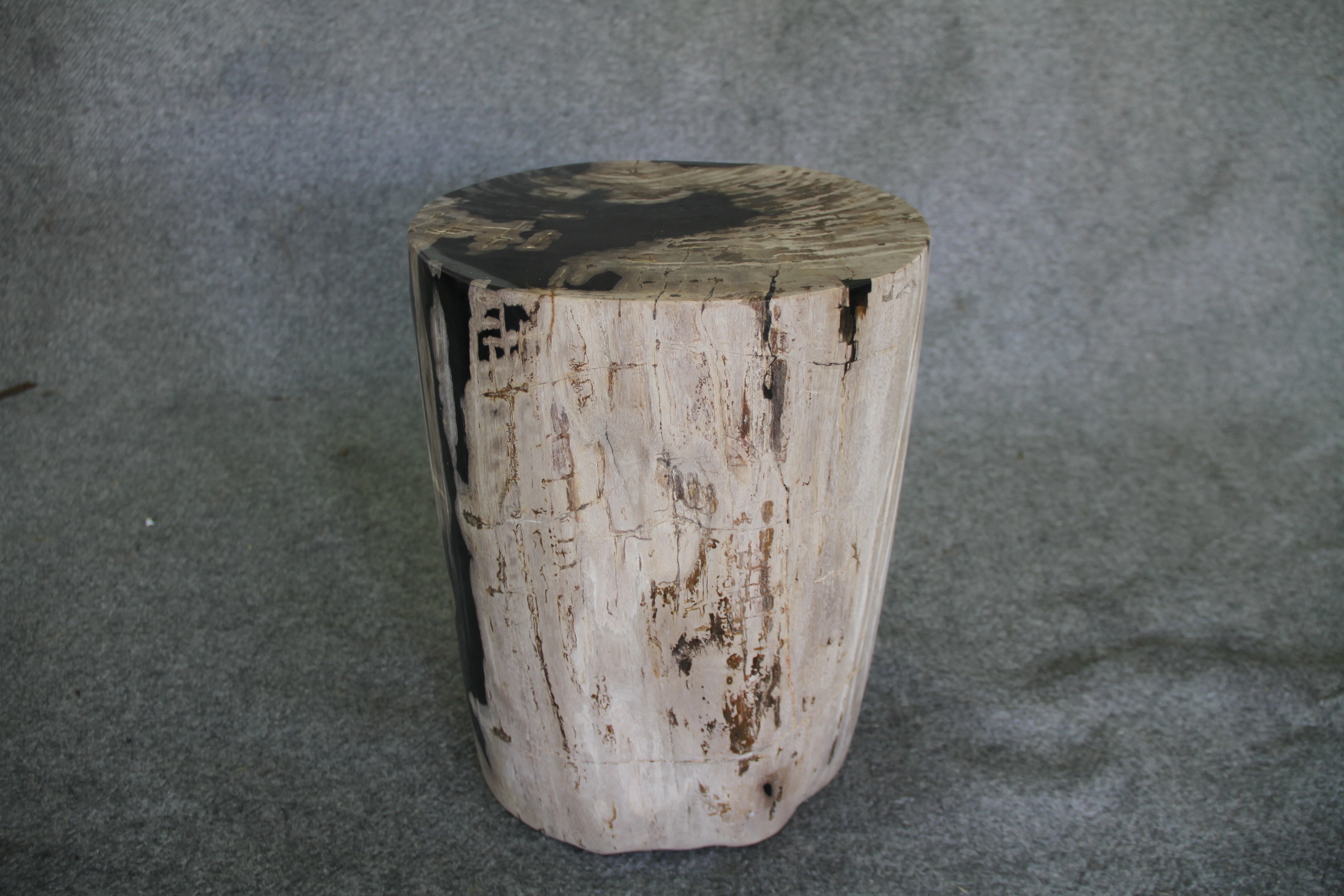 Petrified Wood Log Stool 11in x 13in x 16in (h) - 1985.21 - Image 4