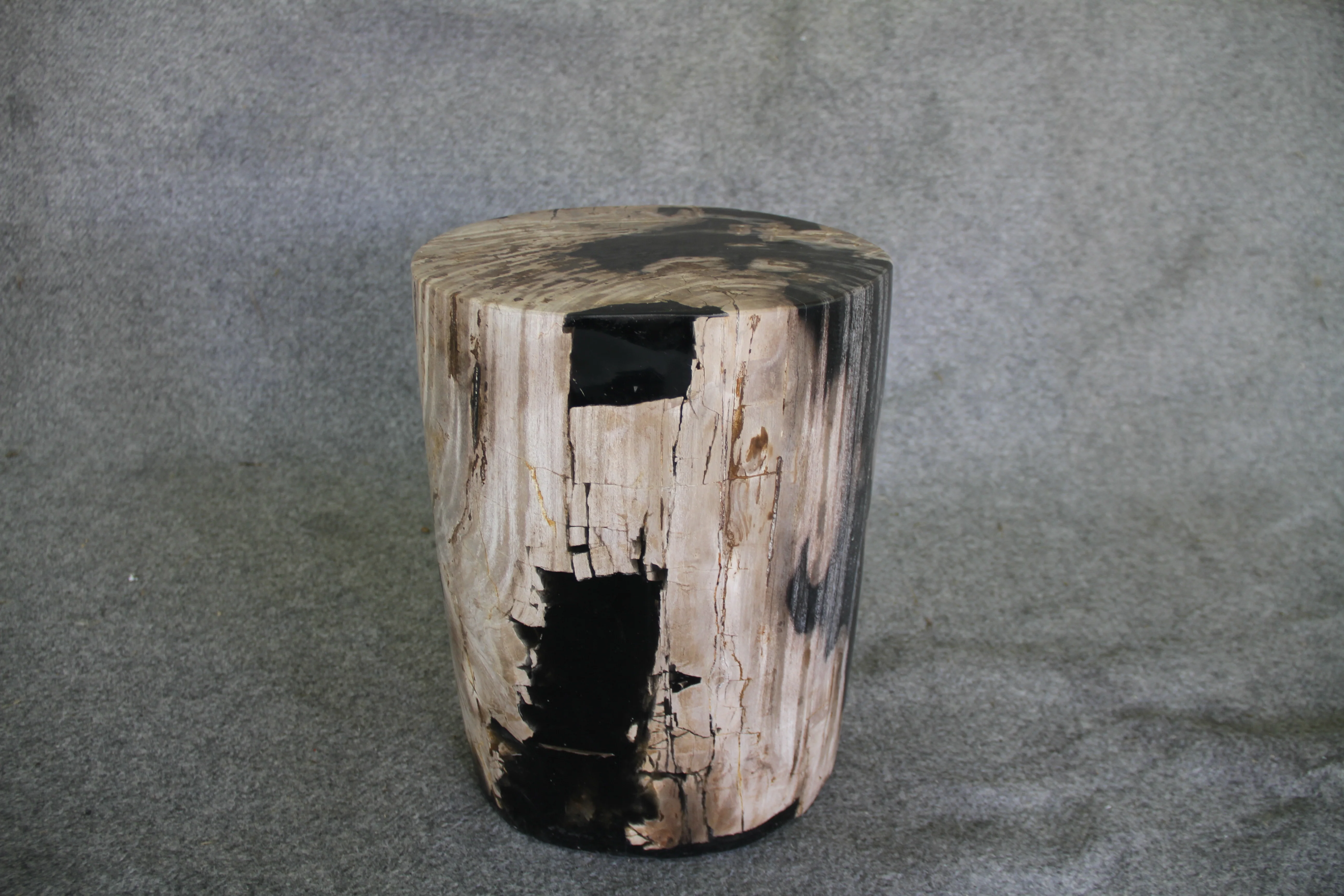 Petrified Wood Log Stool 11in x 13in x 16in (h) - 1985.21 - Image 5