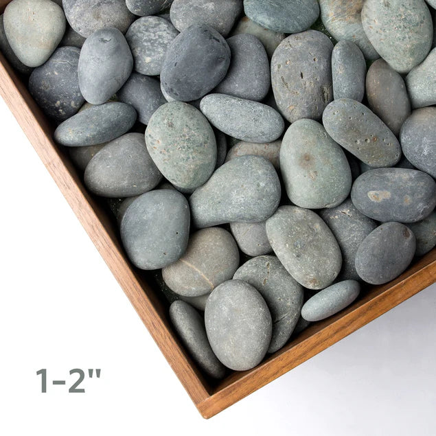 Alder Poles In Urbano Rectangle Planter, Sml By Gold Leaf Design Group - Image 2