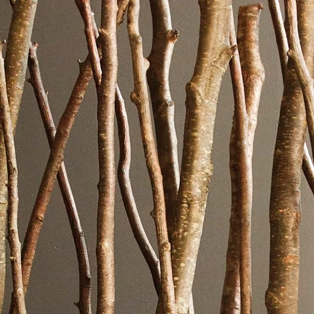 Alder Poles In Urbano Rectangle Planter, Sml By Gold Leaf Design Group - Image 3