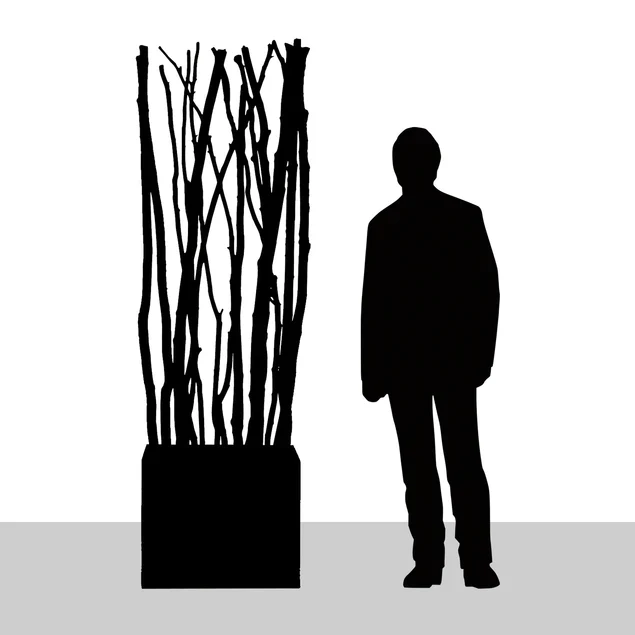 Alder Poles In Urbano Rectangle Planter, Sml By Gold Leaf Design Group - Image 4