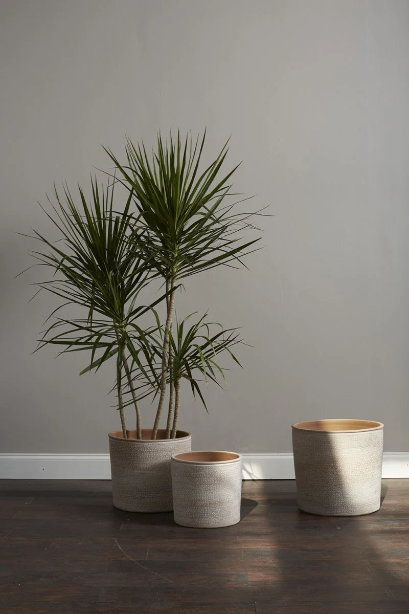 Aleppo Pot By Accent Decor - Image 4