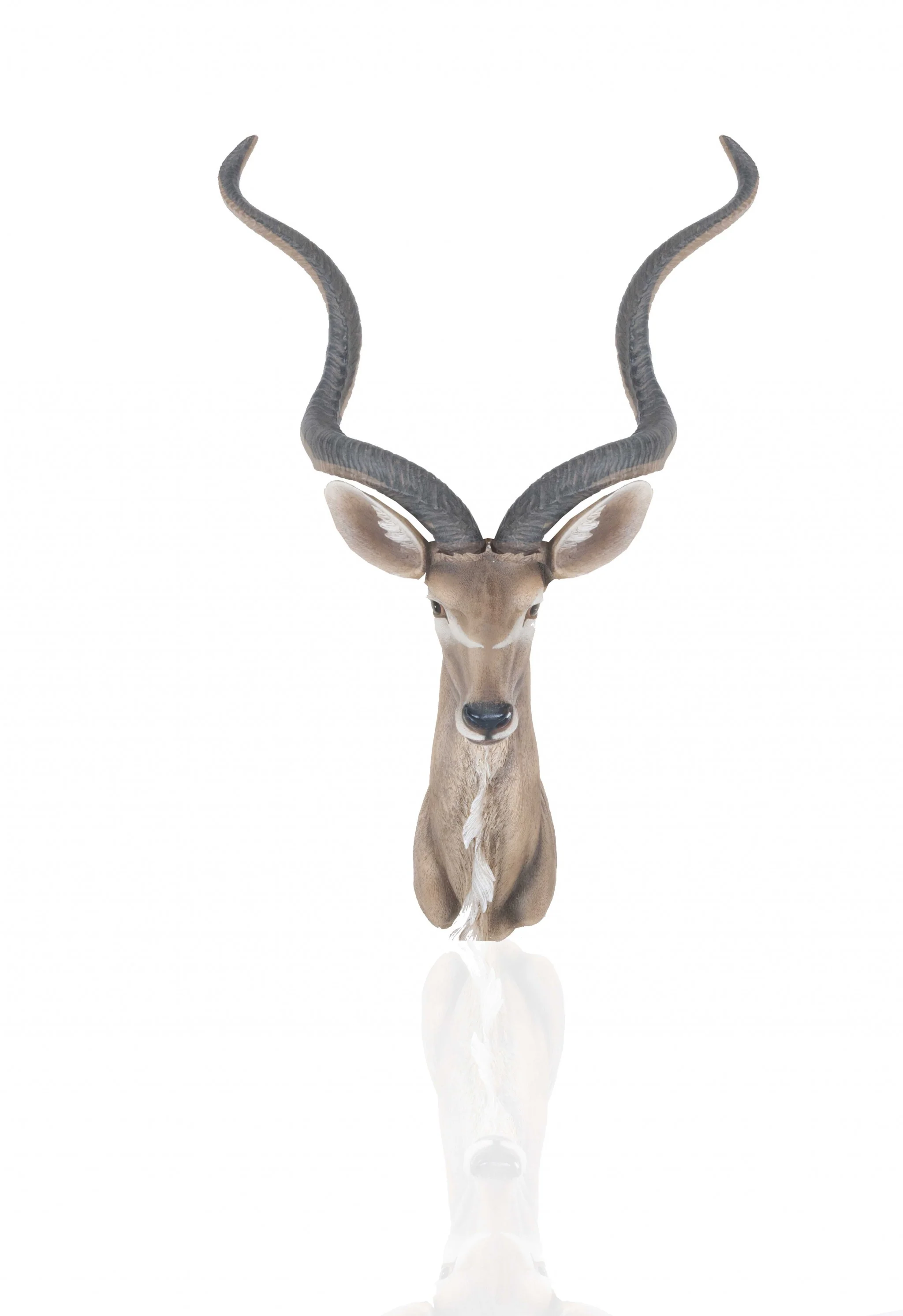 Antelope Head Wall Decorative By Homeroots - Image 2