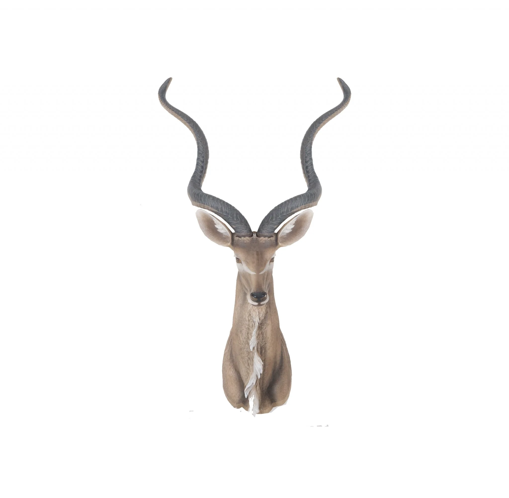 Antelope Head Wall Decorative By Homeroots - Image 3