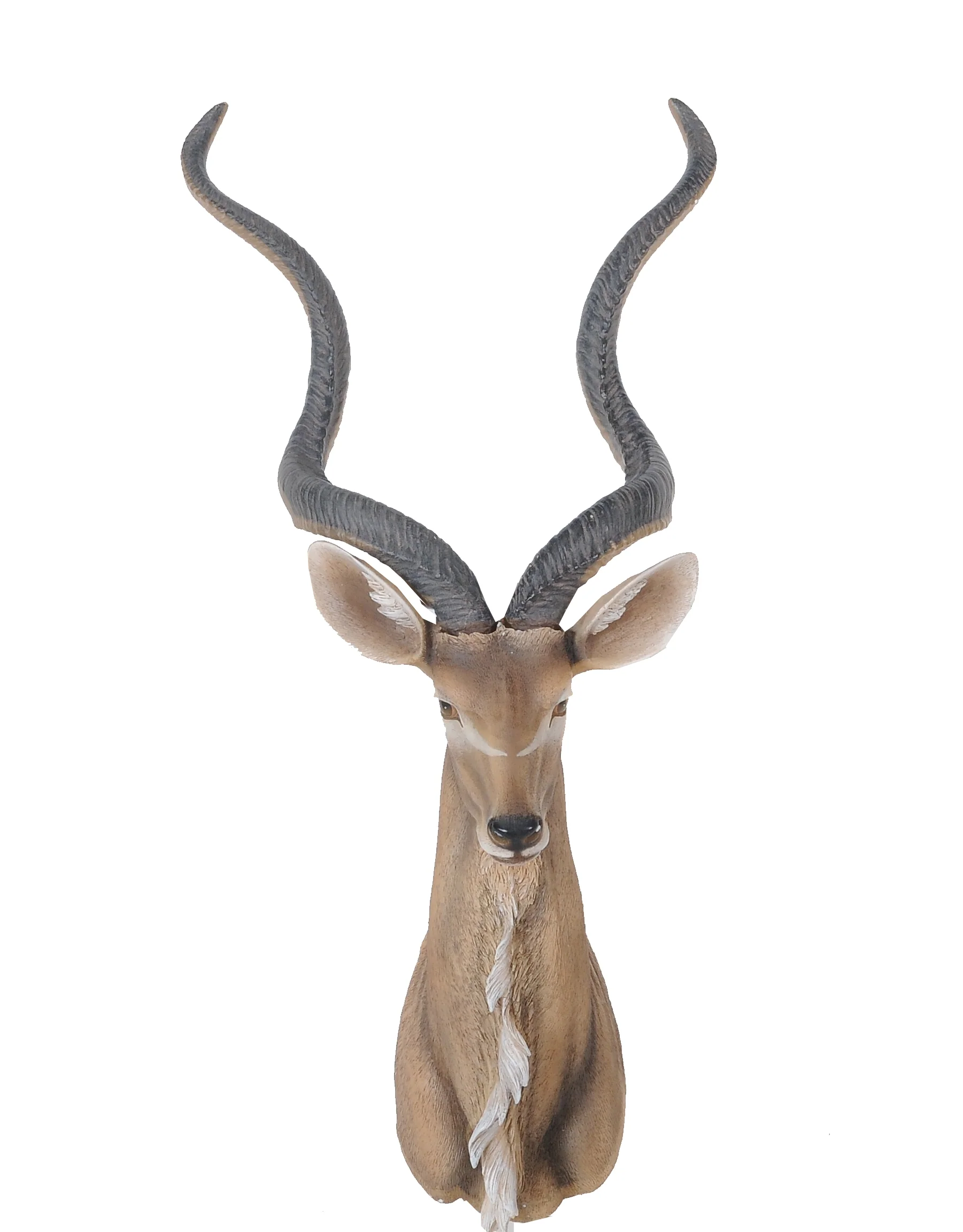 Antelope Head Wall Decorative By Homeroots - Image 5