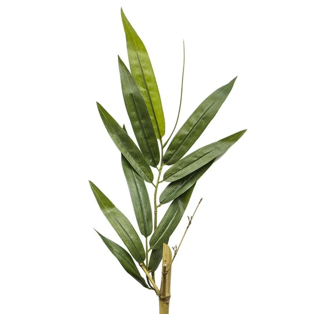 Bamboo Tree in Kawa Planter, Black By Gold Leaf Design Group - Image 3