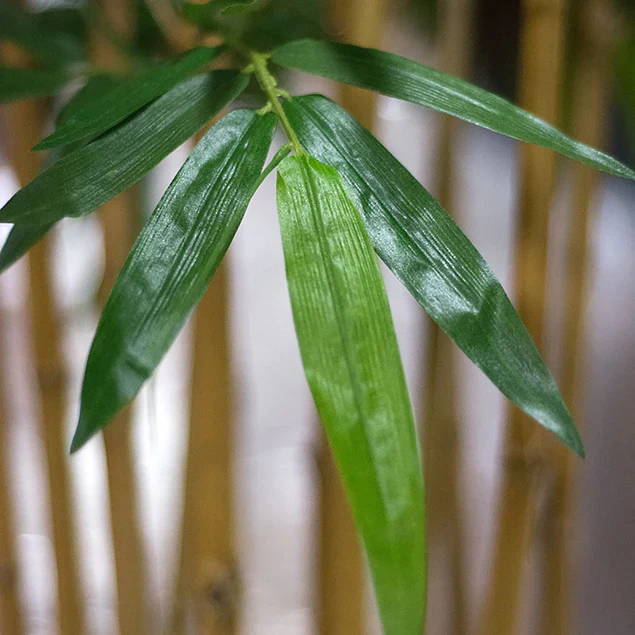 Bamboo Tree in Kawa Planter, Black By Gold Leaf Design Group - Image 4