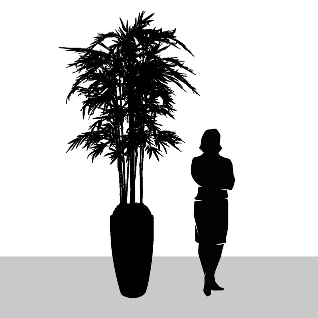 Bamboo Tree in Kawa Planter, Granite White By Gold Leaf Design Group - Image 6