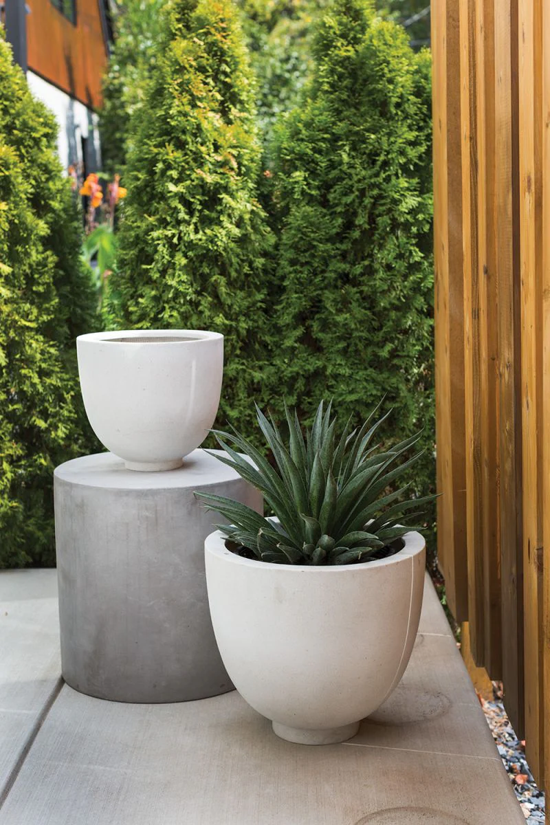Bandani Pot By Accent Decor - Image 2