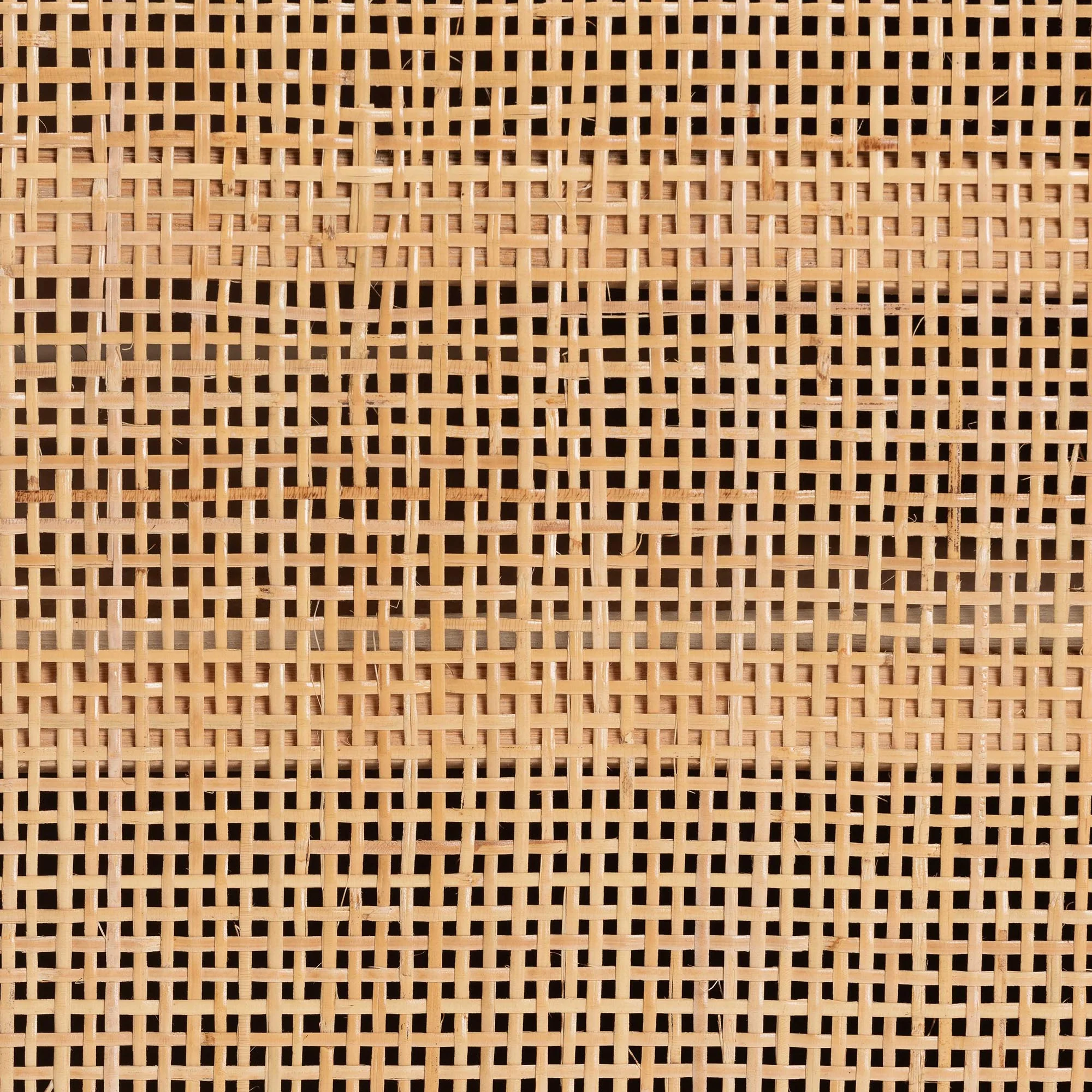 Baxton Studio bali & pari Carabella Bohemian Natural Rattan 2-Door Storage Cabinet - Image 8