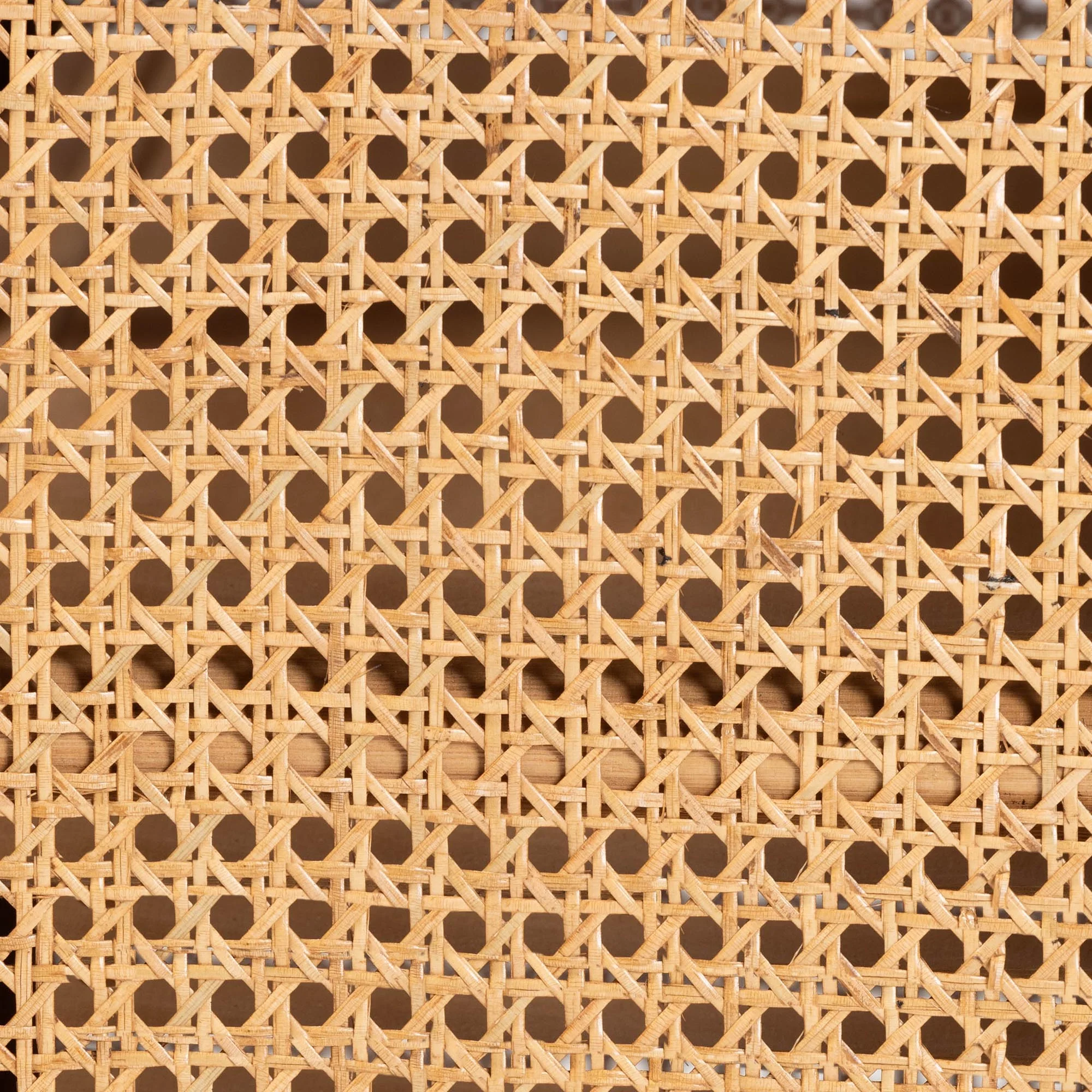 Baxton Studio bali & pari Curacao Modern Bohemian Light Honey Rattan 2-Door Storage Cabinet - Image 10