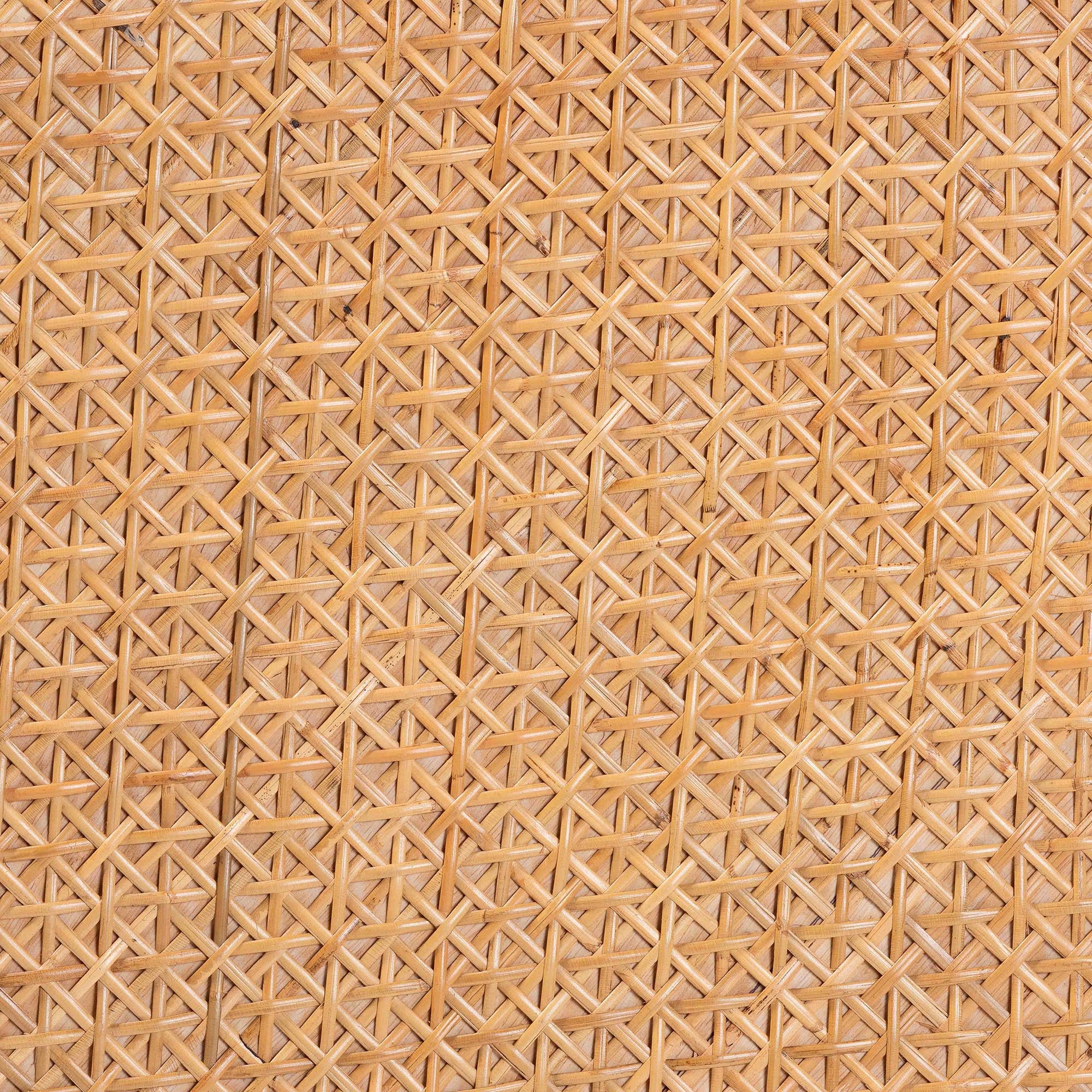Baxton Studio bali & pari Eldon Bohemian Honey Rattan Coffee Table - Image 6