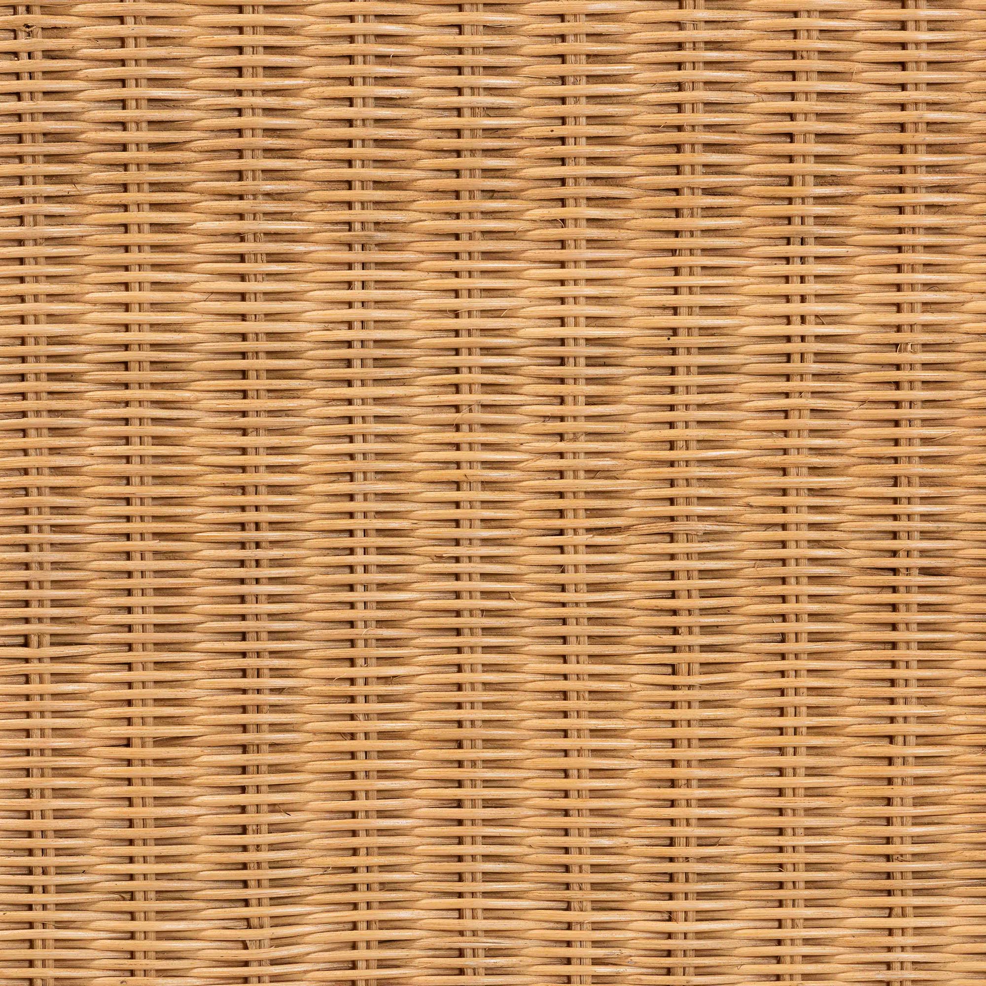 Baxton Studio bali & pari Erla Bohemian Light Honey Rattan Accent Bench with Scallop border - Image 9