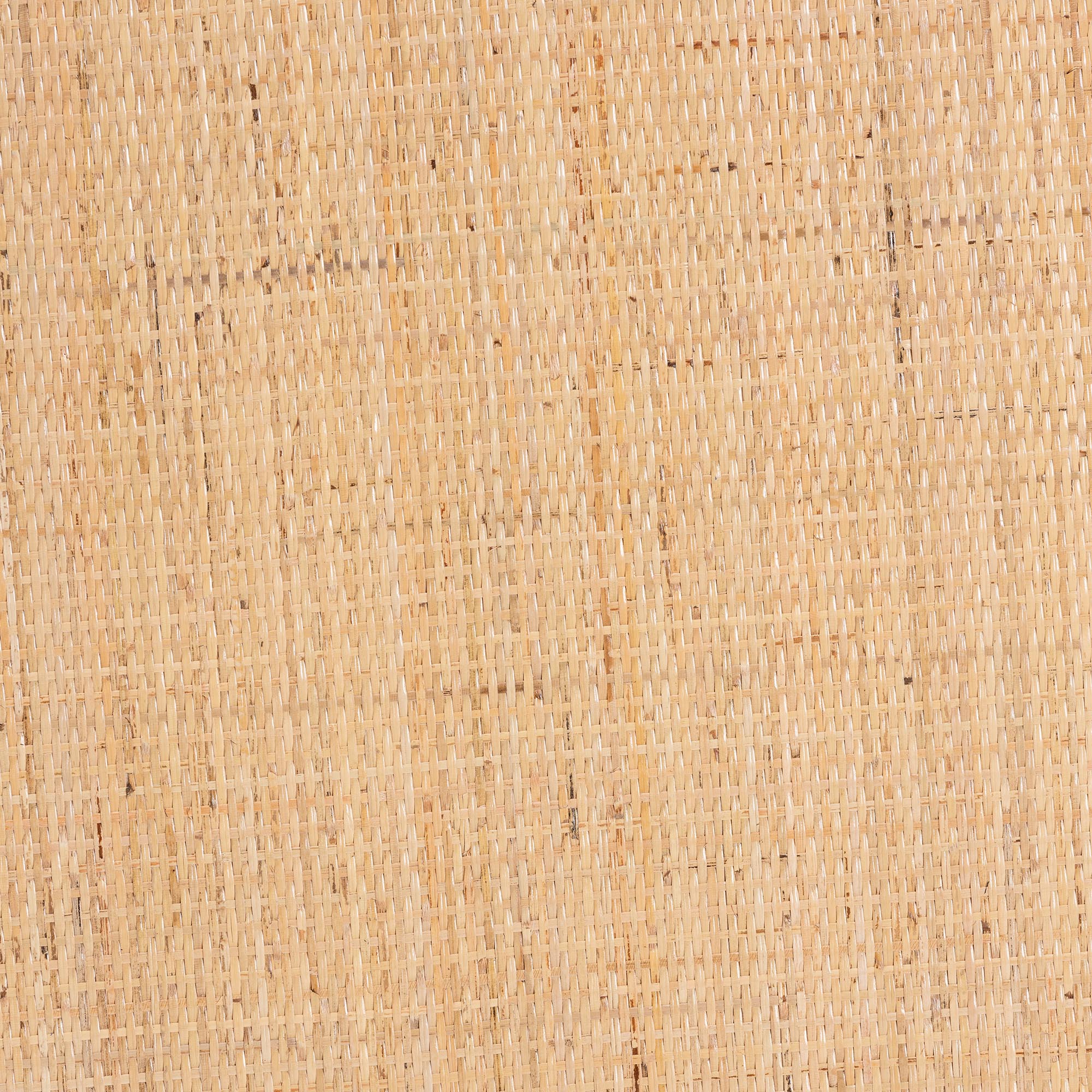 Baxton Studio bali & pari Kalimantan Bohemian Light Honey Rattan and Mahogany Wood Coffee Table - Image 6