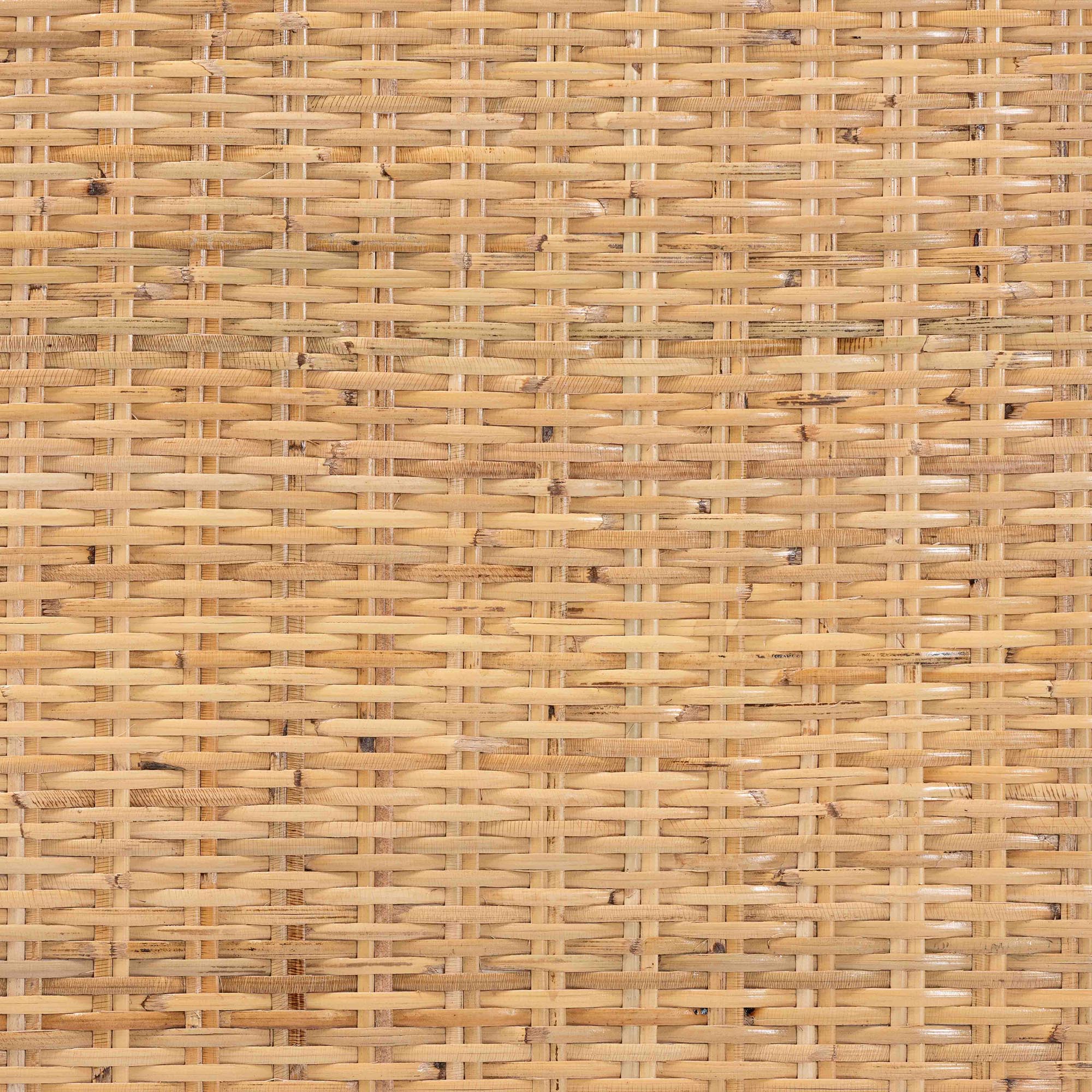 Baxton Studio bali & pari Kalimantan Bohemian Light Honey Rattan and Mahogany Wood Rectangle Coffee Table - Image 7