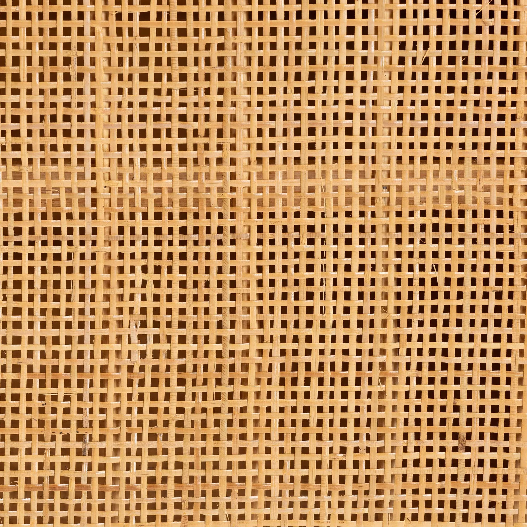 Baxton Studio bali & pari Ovalet Modern Bohemian Natural Brown Rattan 2-Door Sideboard - Image 10