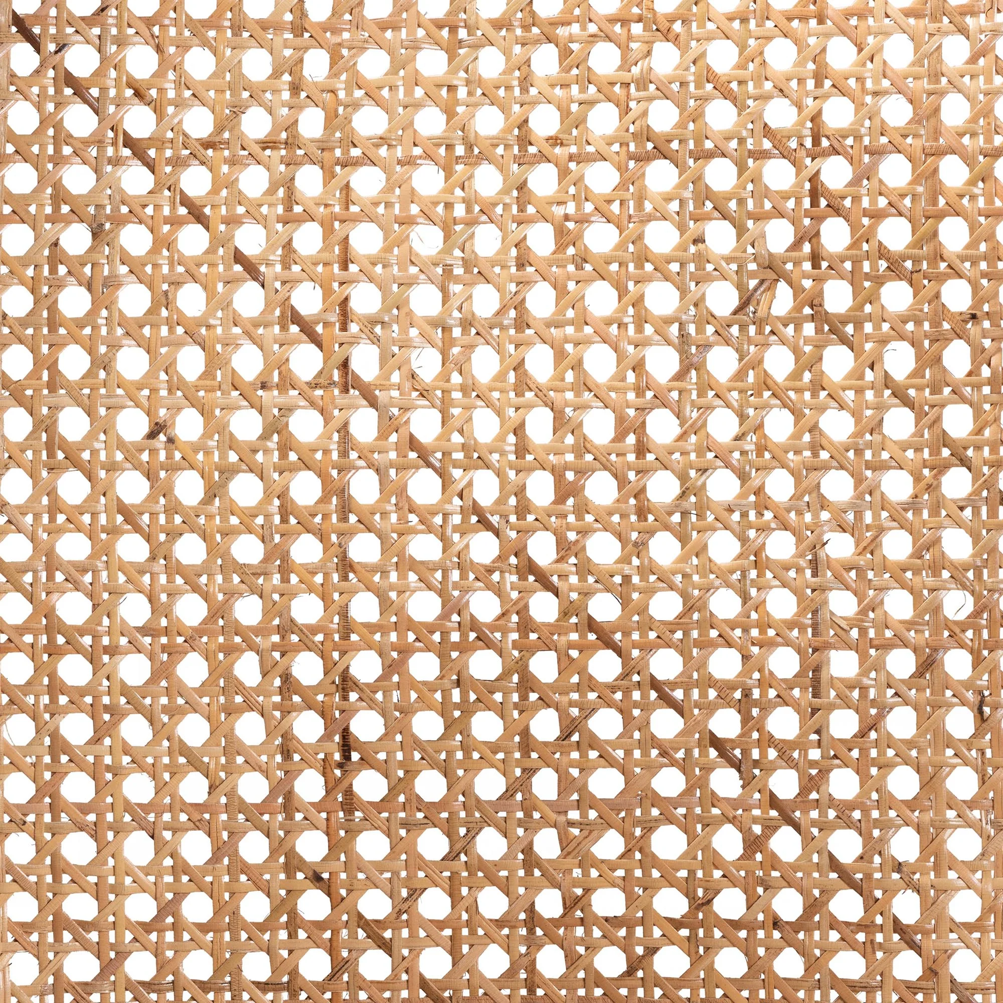 Baxton Studio bali & pari Palesa Modern Bohemian Two-Tone Black and Natural Brown Rattan Dining Chair - Image 8
