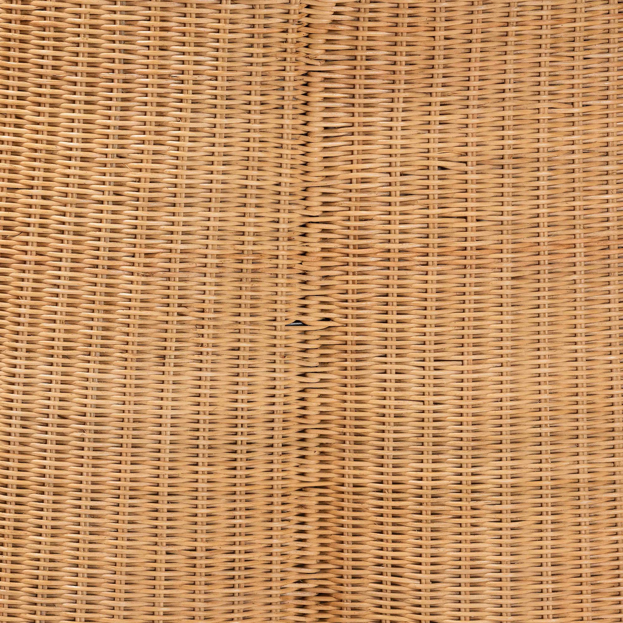 Baxton Studio bali & pari Palm Bohemian Honey Scallop Rattan Coffee Table - Image 5