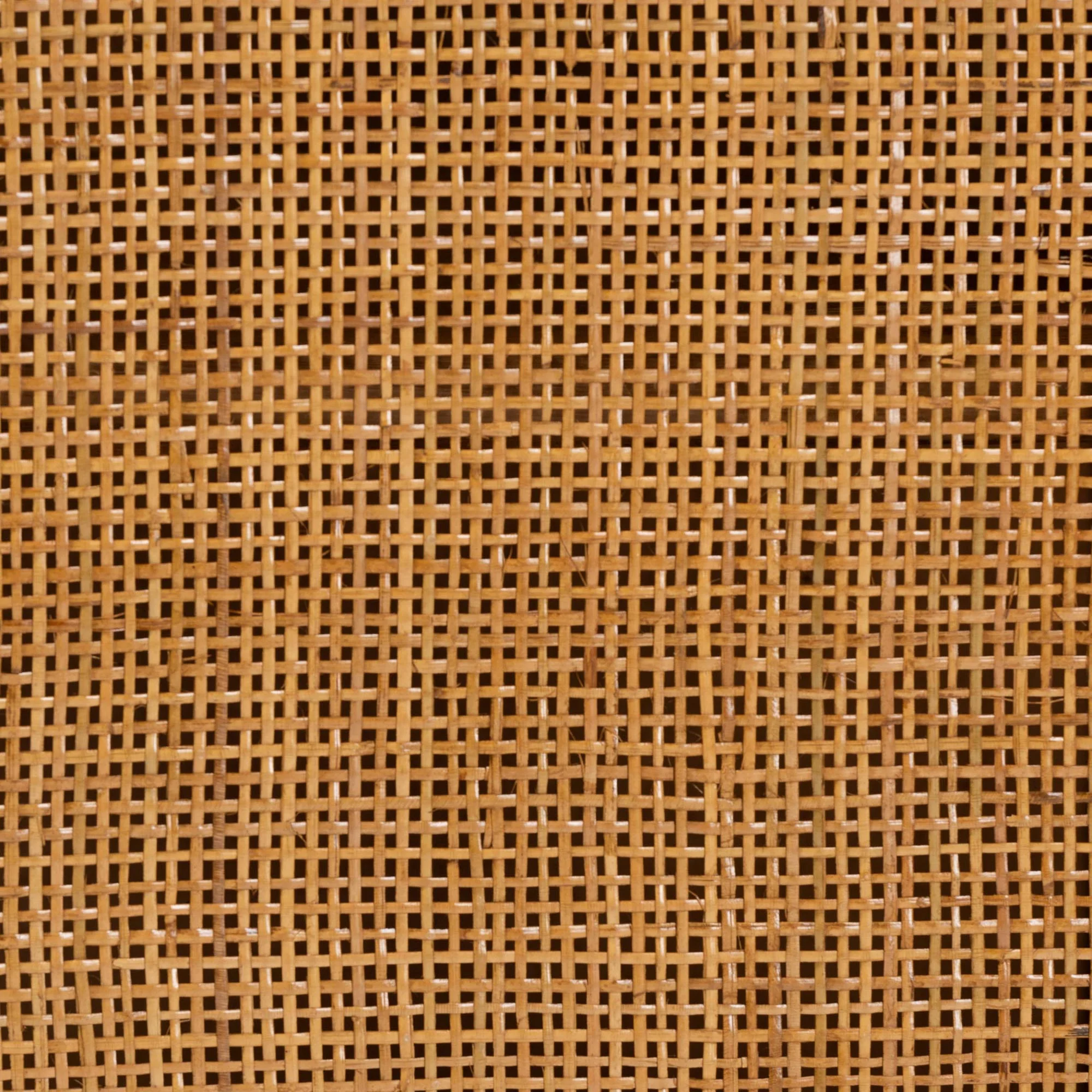 Baxton Studio bali & pari Paloma Modern Bohemian Light Honey Rattan Large Storage Cabinet - Image 8