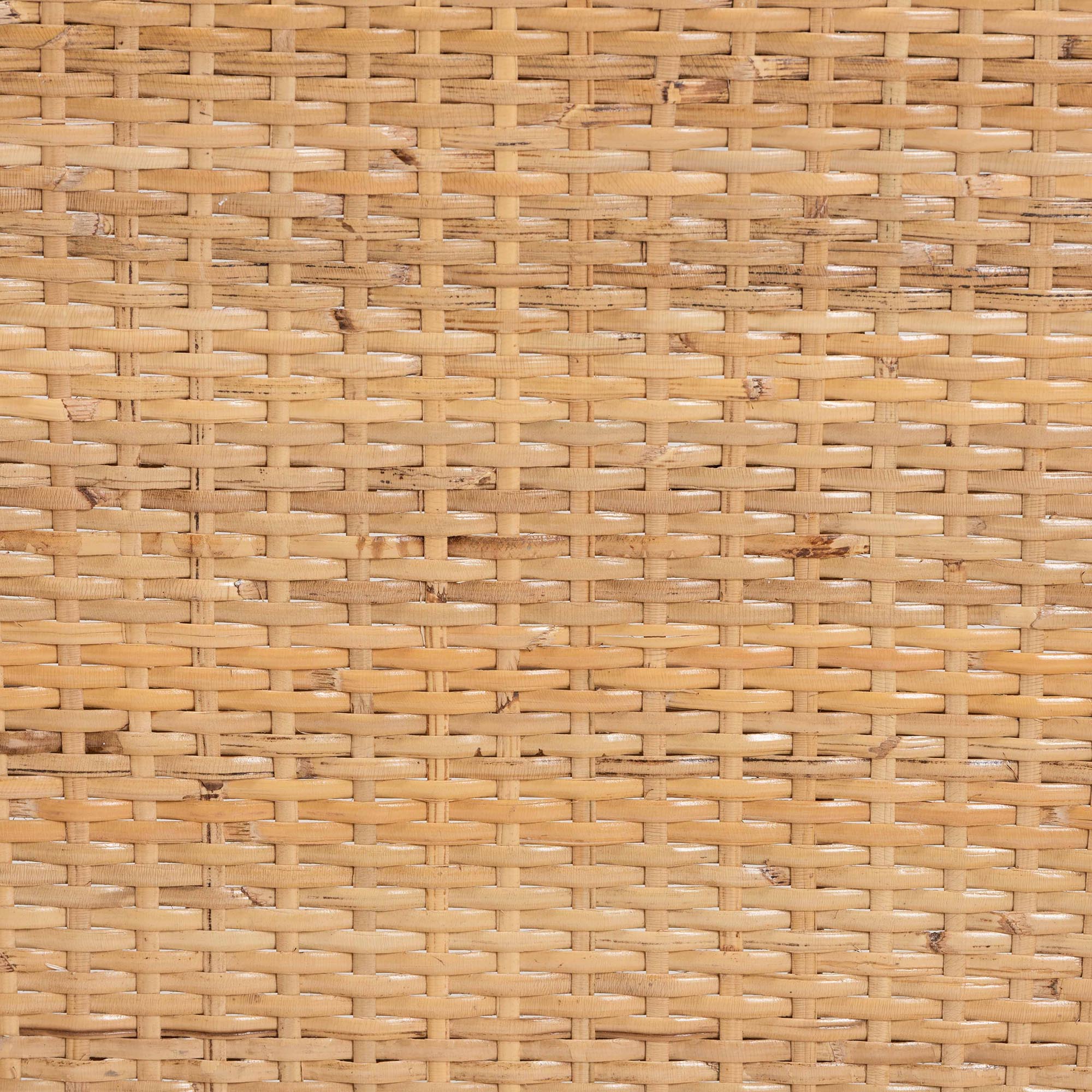 Baxton Studio bali & pari Papua Modern Bohemian Natural Rattan and Walnut Brown Acacia Wood Counter Stool - Image 8