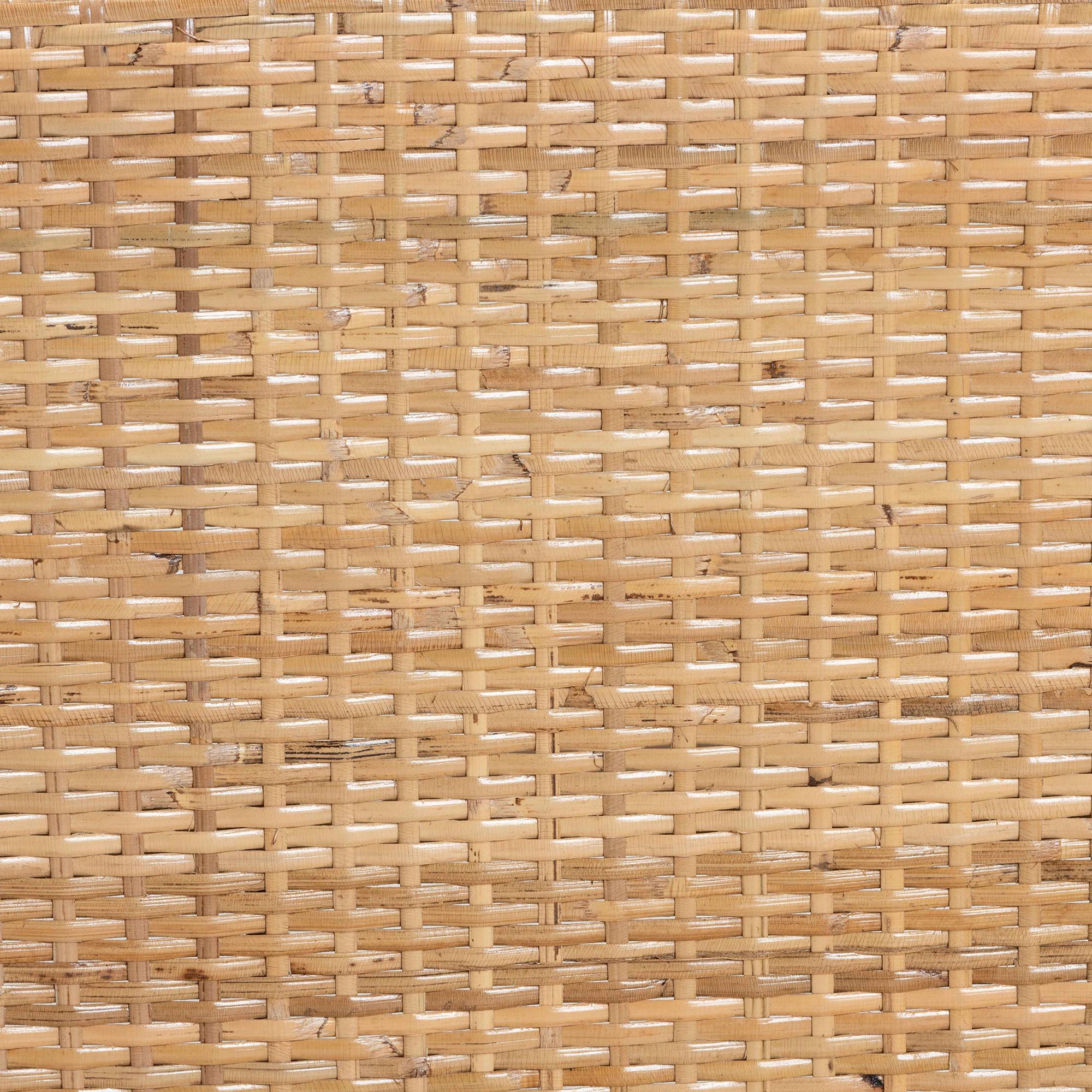 Baxton Studio bali & pari Papua Modern Bohemian Natural Rattan and Walnut Brown Acacia Wood Dining Chair - Image 10