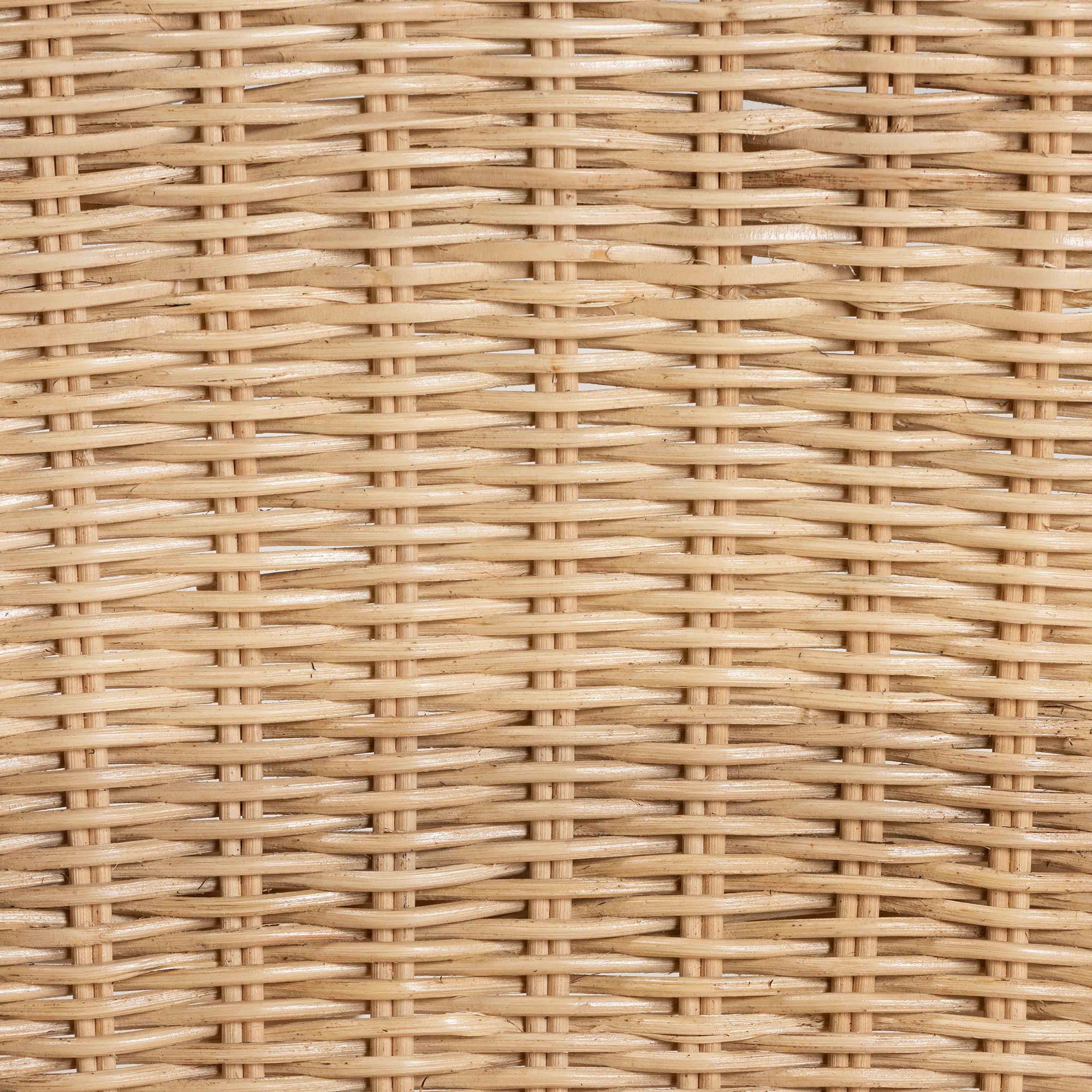 Baxton Studio bali & pari Sumatera Modern Bohemian Natural Brown Rattan 2-Piece Dining Chair Set - Image 7