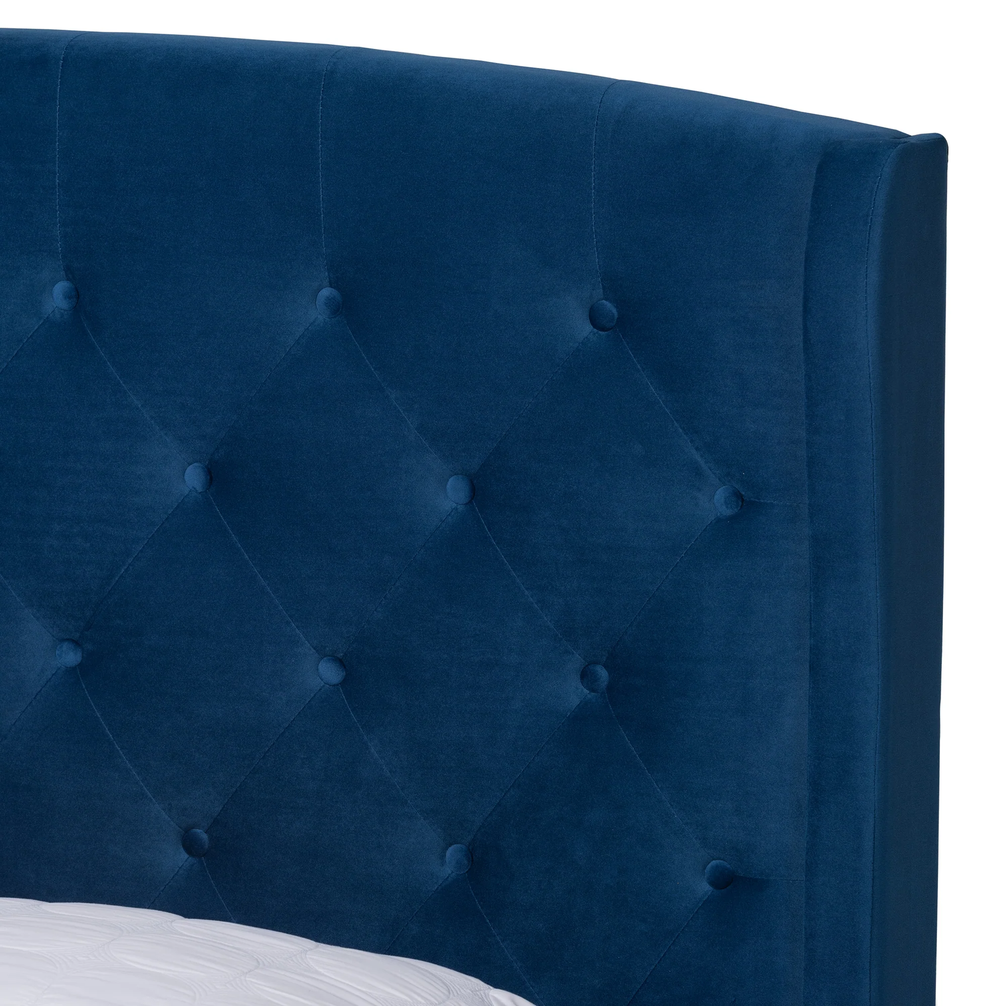 Baxton Studio Joanna Modern and Contemporay Navy Blue Velvet Fabric Upholstered and Dark Brown Finished Wood Queen Size Platform Bed - Image 5