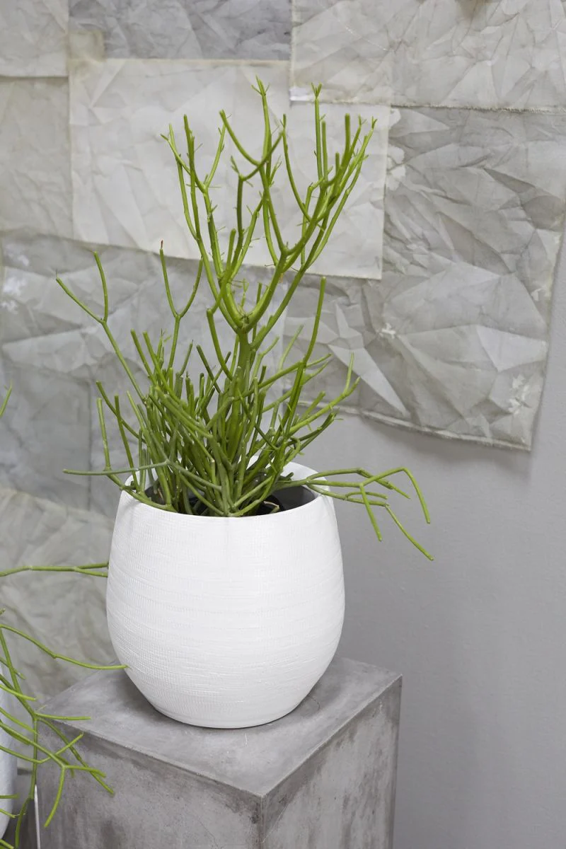 Benji Pot 14.5" x  13.5" White By Accent Decor - Image 6