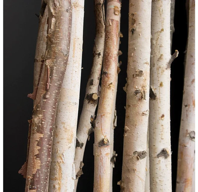 Birch Poles W/ Pivot Wall Play In Urbano Rectangle Planter, Lg By Gold Leaf Design Group - Image 4