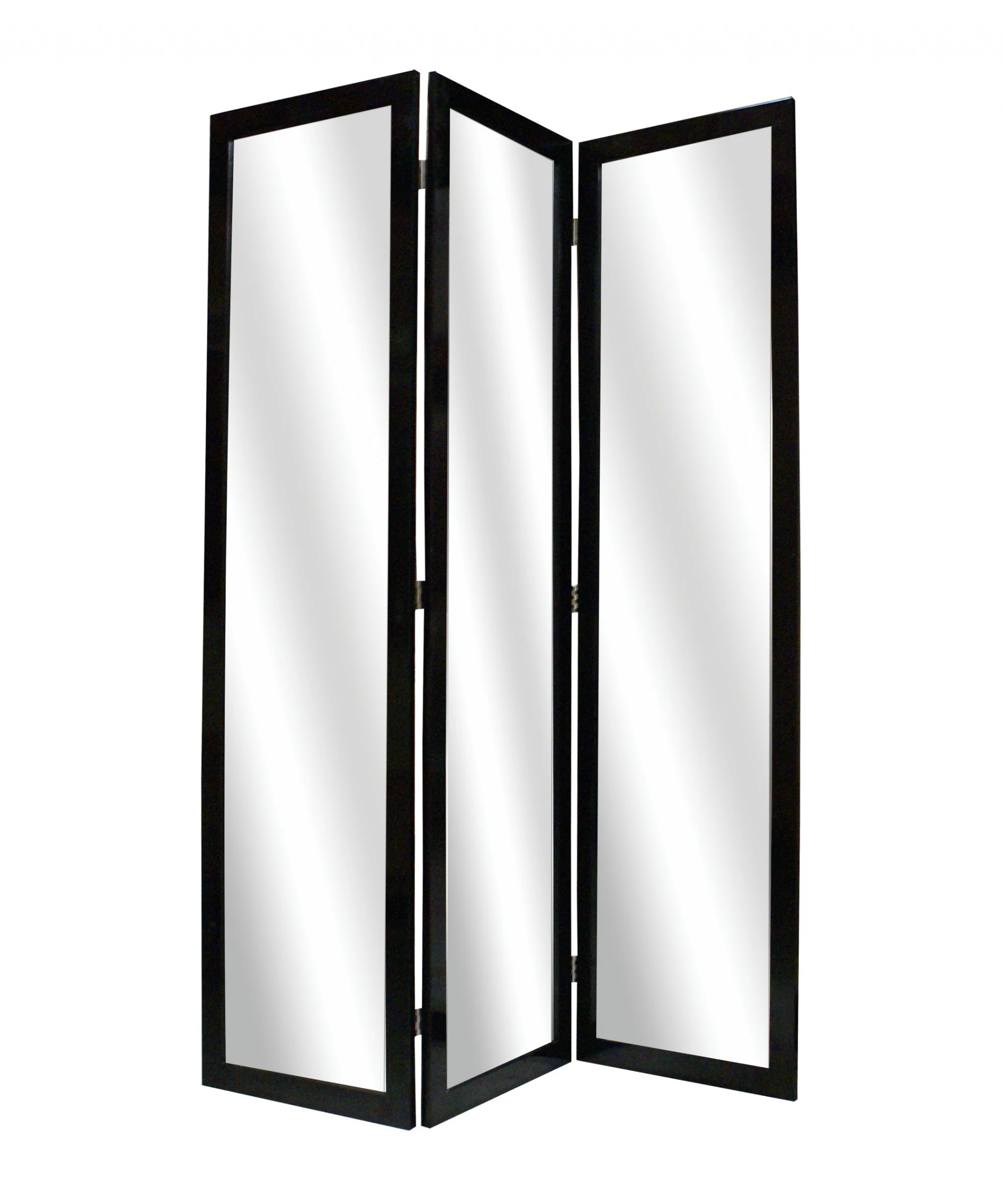 Black Glass & Wood Mirror Screen By Homeroots - 274678 - Image 3