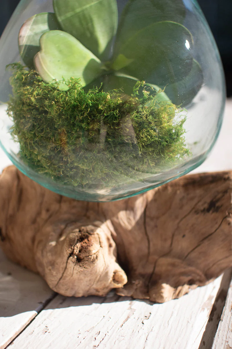 Blown Glass Bowl On Driftwood Base - Large By Kalalou - Image 2