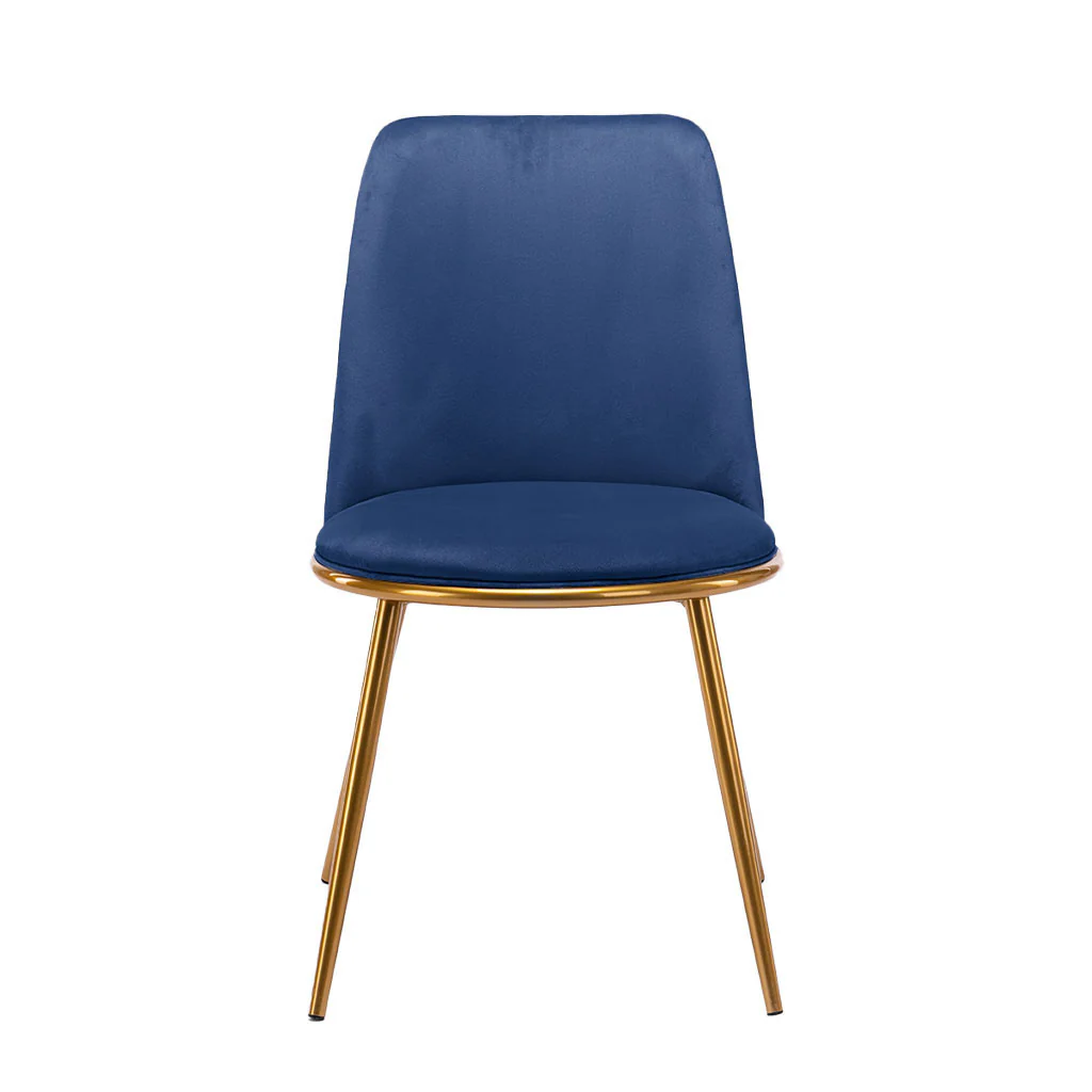 Blue And Gold Upholstered Velvet Dining Side Chair By Homeroots - Image 2