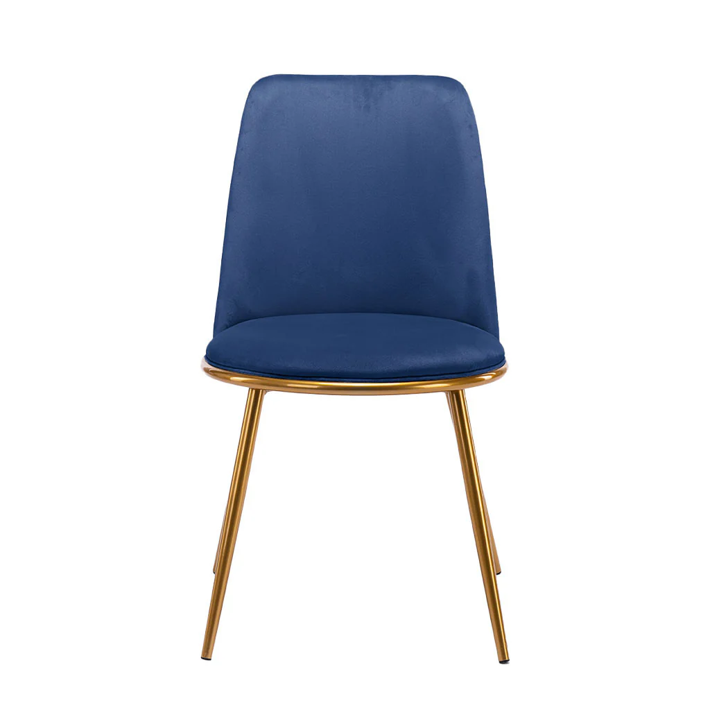 Blue And Gold Upholstered Velvet Dining Side Chair By Homeroots - Image 7