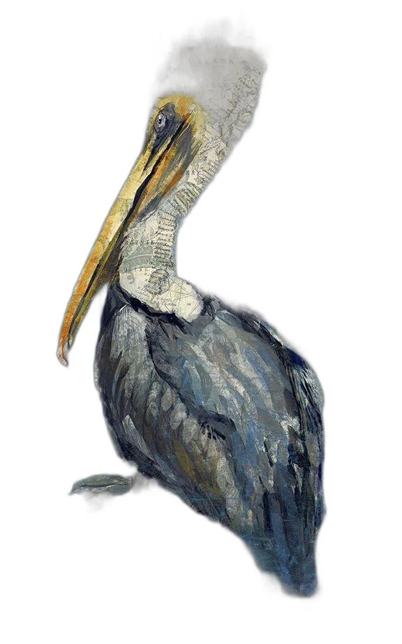 Blue Watercolor Pelican Wall Art By Homeroots - Image 4