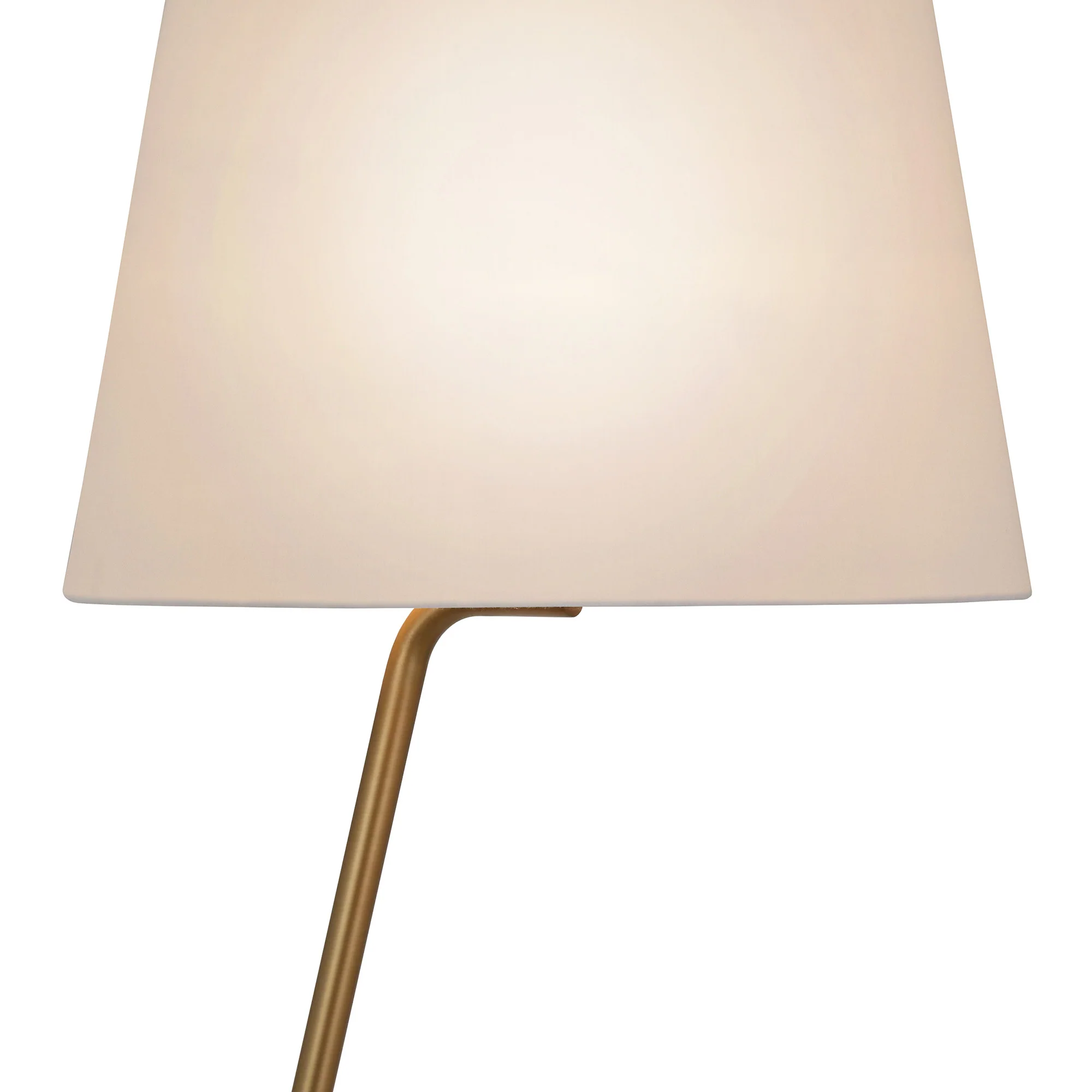 Brass Novelty Floor Lamp With White Frosted Glass Drum Shade By Homeroots - Image 4