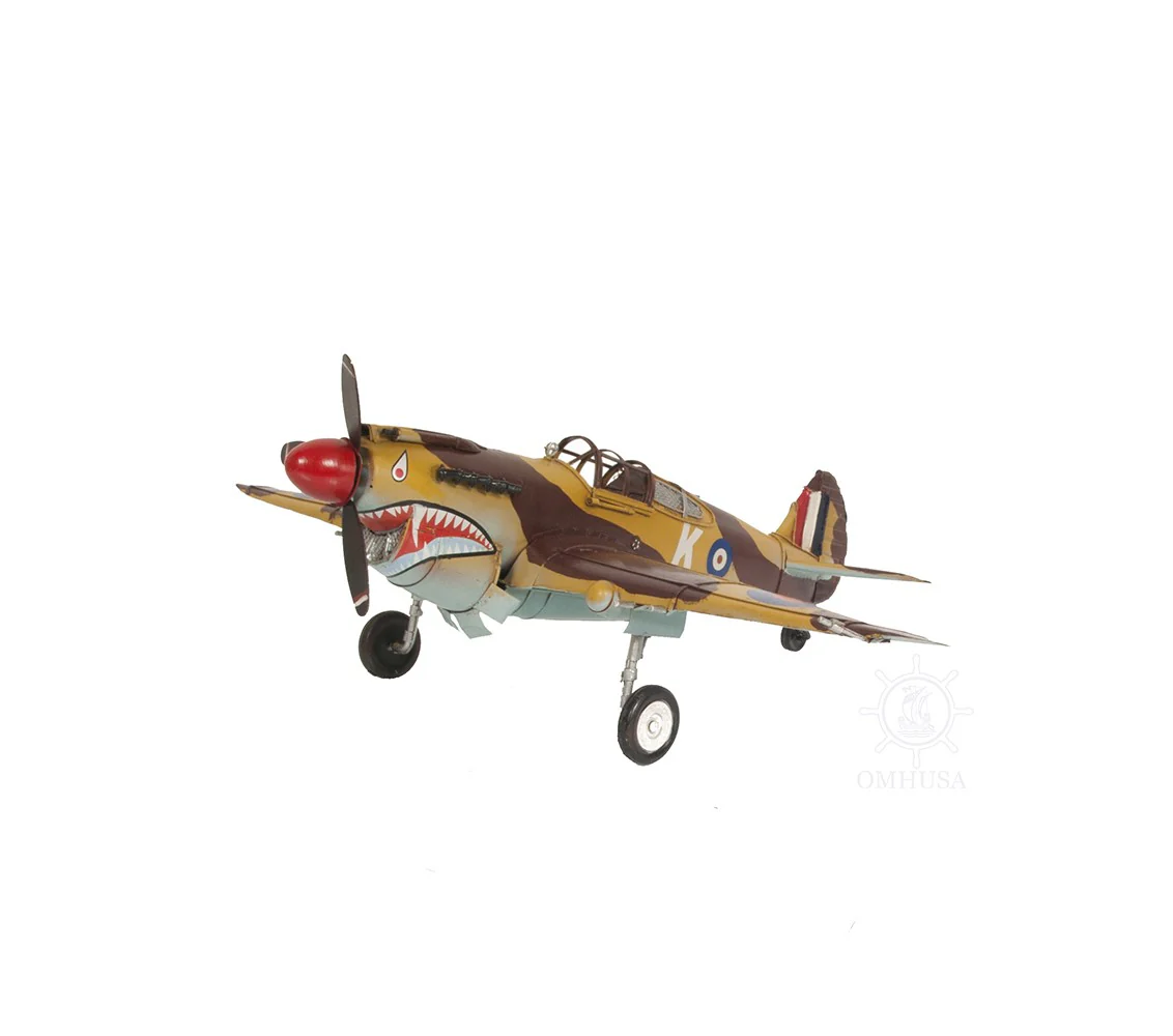 c1941 Curtiss Hawk 81A Large Sculpture By Homeroots - Image 7