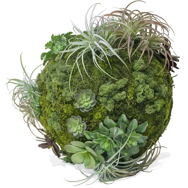 California Mix Moss Sphere By Gold Leaf Design Group - Image 2