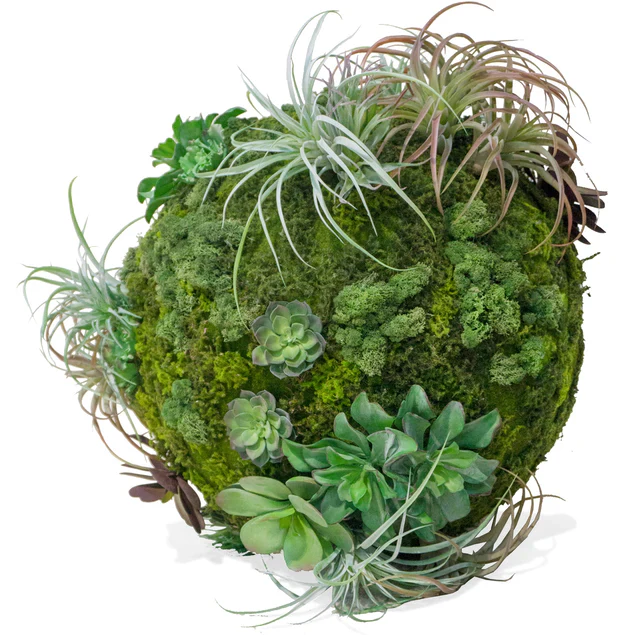 California Mix Moss Sphere By Gold Leaf Design Group - Image 4